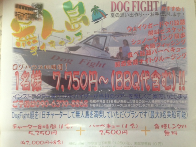 dogfight