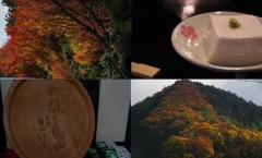 和歌山の紅葉とごまとうふ