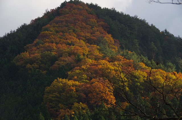 高野山　紅葉