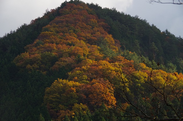 高野山　紅葉