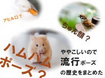 【2010-2015】アヒル口？ちゅん顔？虫歯？ハムハム？ややこしいので流行ポーズの歴史をまとめた