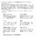 サイト名のタイトル変更を間違えた時にやった事と、学んだ事