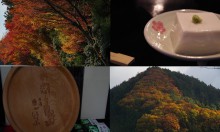 和歌山にある高野山にいってきた【紅葉～ゴマ豆腐編】