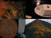 和歌山にある高野山にいってきた【紅葉～ゴマ豆腐編】