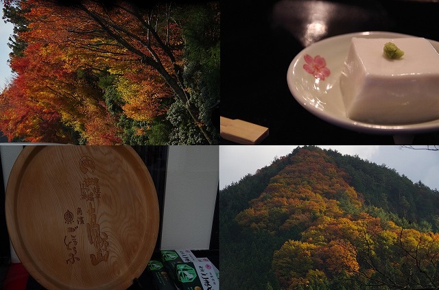 和歌山の紅葉とごまとうふ