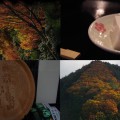 和歌山にある高野山にいってきた【紅葉～ゴマ豆腐編】