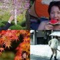 【2014年】「たむら」にとって今年はどんな年でしたか？