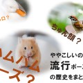 【流行りポーズまとめ】アヒル口？ちゅん顔？虫歯？ハムハム？ややこしいので歴史をまとめた