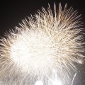 【2015年】鳥取市民納涼花火大会の開催日程、おすすめスポット
